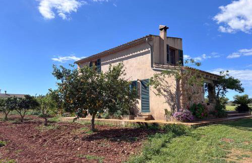 Bonita casa de campo Sa Vinya para relax y piscina privada - Foto 56