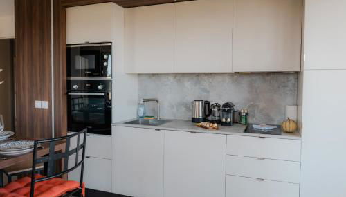 PanoramiK Hippodrome - 2 ch - Parking - By Primo concIergerie - Photo 4, stove