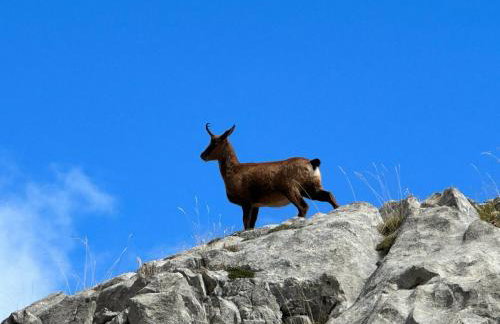 El Serenal - Photo 17