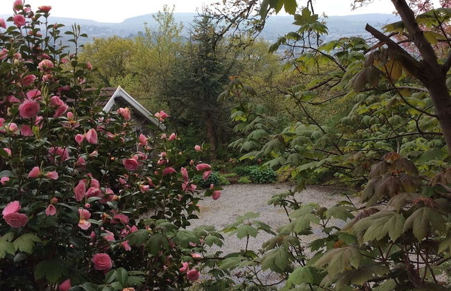 Cwmbach Cottages - Foto 69