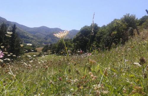 Casa Gloria - Foto 52