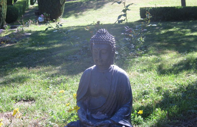 Ferienhaus Romantikmühle Heartlandranch - Foto 16