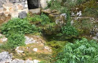 Gîtes des Deux Vallées La Borieta du Causse - Rocamadour - Foto 48