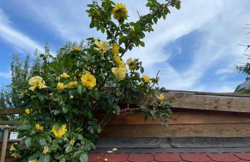 Pension Hugo - Foto 57