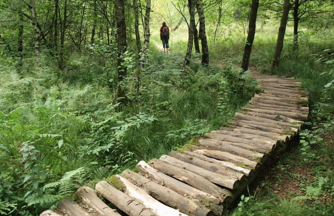 Holiday Apartment Sunflower - Foto 25
