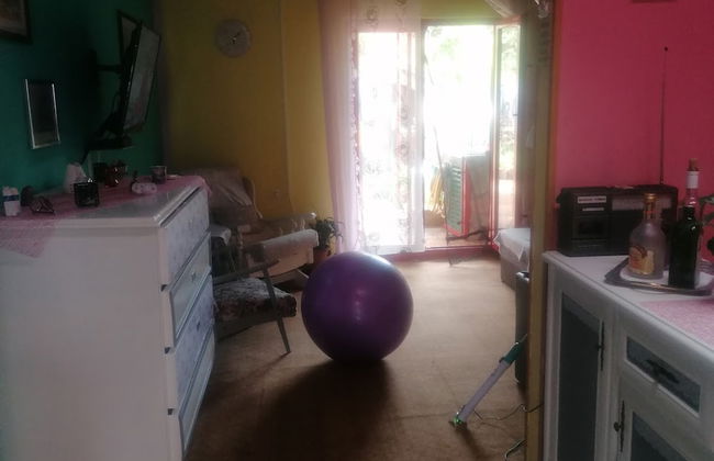 Apartment Dario Šolta - Foto 4