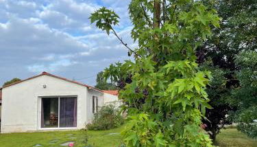 Un studio indépendant avec jardin - Foto 4