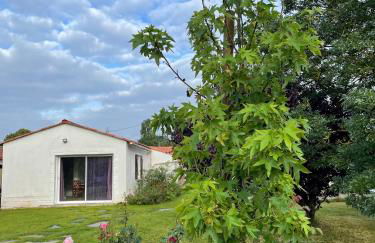 Un studio indépendant avec jardin - Foto 4