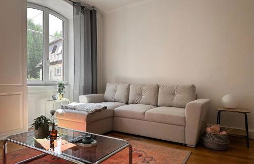 Hypercentre T2 50 m2, Château des Rohan - Foto 2