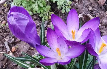 Historisches Fachwerkhaus aus dem 18 Jahrhundert - Photo 35