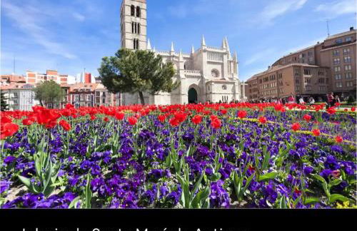 AdriVA Fuente Dorada-Plaza Mayor, Wifi Atico - Foto 55