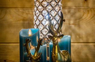 Forest Gap - Pizza oven, hot tub, EV charger - Foto 35