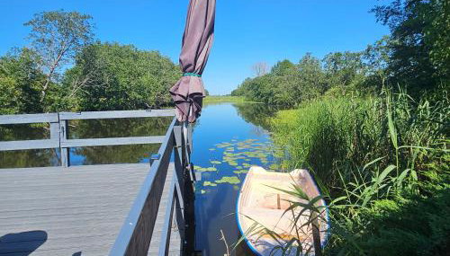 Siedlisko Tafle - Photo 5