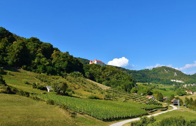 Pool Villa Silva Marija - App 102 - Foto 17