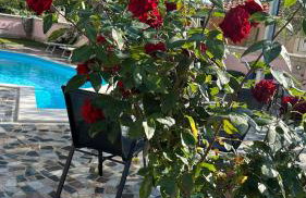 Villa Baldi -Apartmani Danny - Foto 78