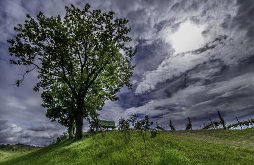 Small House Monferrato - Photo 24