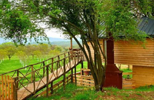 The Treehouse of The Dragon - Foto 26