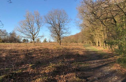 Luggs Barn - Beautiful Devon Hideaway - Photo 16