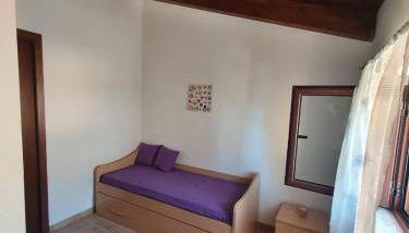 Gabbiano Jonathan - Foto 4