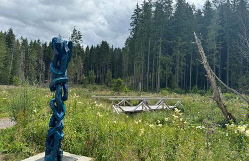 BergOase-Apart am Feldberg - Foto 68