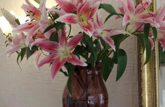 Hillview Guest House - Foto 46