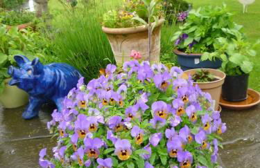 Hopewell self-catering - Foto 46