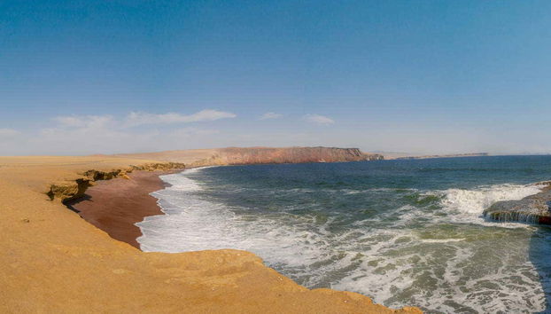 Excursión a las islas Ballestas y la Reserva Nacional de Paracas - Foto 4