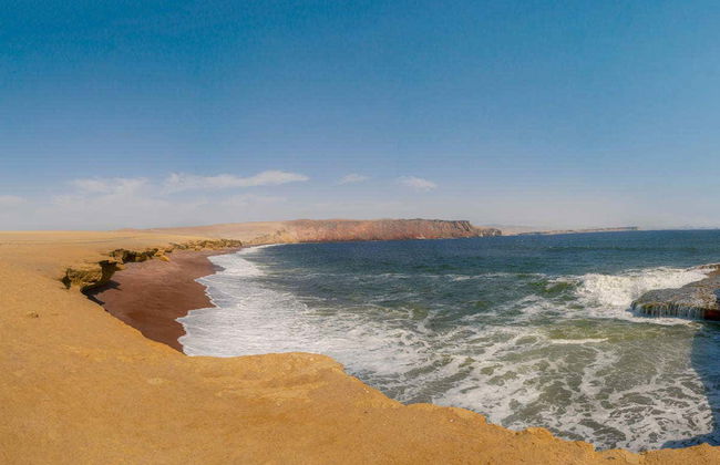 Excursión a las islas Ballestas y la Reserva Nacional de Paracas - Foto 4