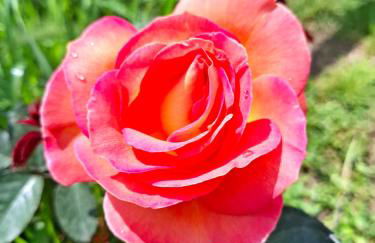 La Foresteria di Podere Muracciolo - Foto 16