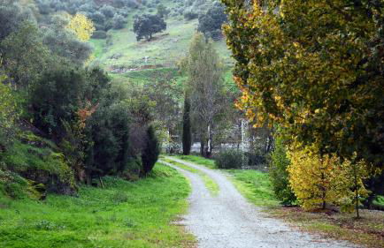 Los Pozos de la Nieve - Photo 71