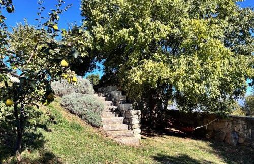 Holiday house Green Dream - Foto 34