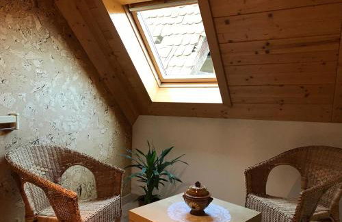 Les Berges de l'Ohmbach - Foto 26