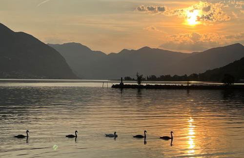 Lake View Terrace - Foto 20