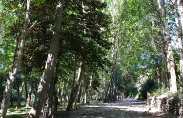 Sweet Quintanilha - Foto 29