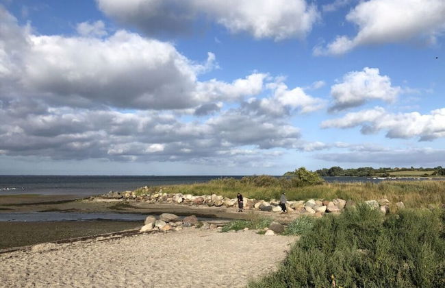 Holiday Home Scheersbergkate - Foto 29