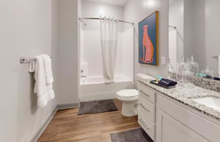 H4N Furnished Apartments at Ellipse Urban in Hampton VA - Photo 17