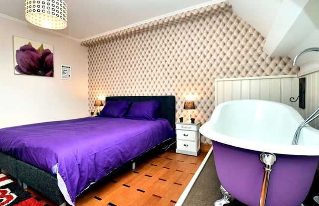 Magnificent Luxury Chateau in Vast Garden with Sauna & Hot Tubs - Photo 3