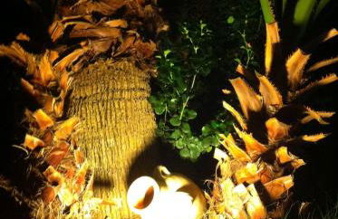 Villa Rosa - Foto 28