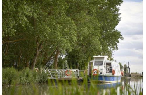 La casa de la Tía Majita - Foto 25