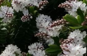 Gîte Ti-Gwennel - Photo 33