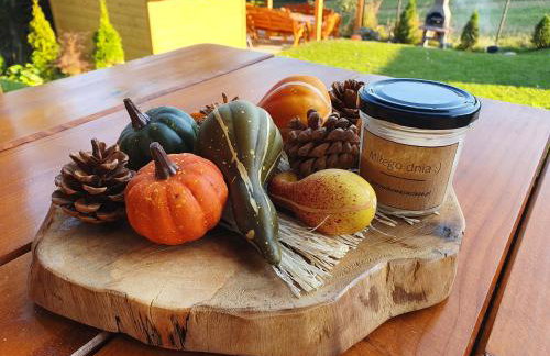 Borowikowe Zacisze drewniane domy z kominkami - Foto 14