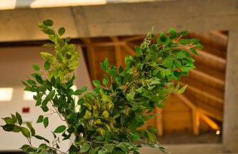 Capital Luxury Suites - Foto 55