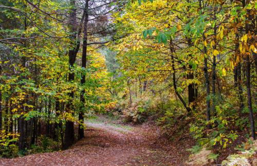 Casa la Fuentecilla - Photo 21
