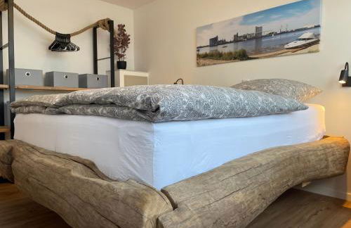 Sonnenschein - Foto 51