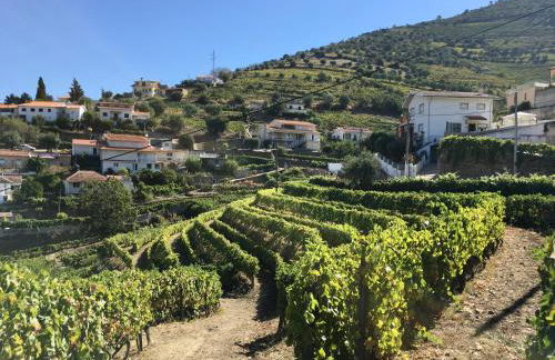 casa das ameias - Foto 29