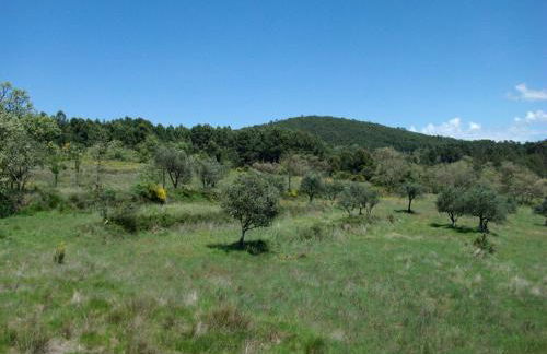 Quinta do Mineiro-Serra da Estrela - Foto 30