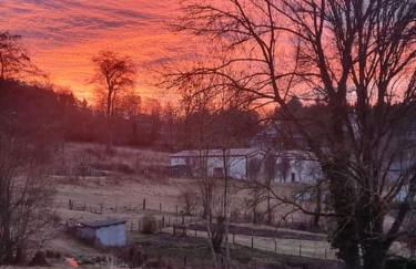 Cœur de volcan - Foto 34