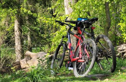 Falkenhof Meisdorf - Foto 28