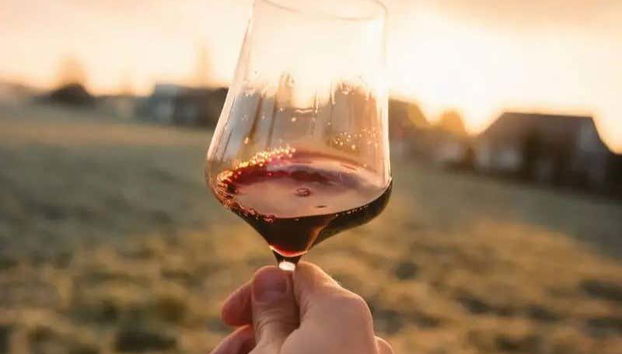 Tour de viñedos por Aguascalientes - Foto 2, Degustación de vino