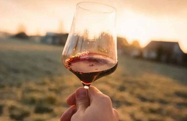 Aguascalientes Vineyards Tour - Foto 1